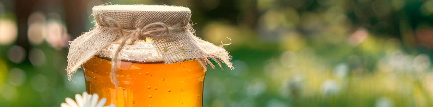 Greek Honey: The Gold of Greek Nature